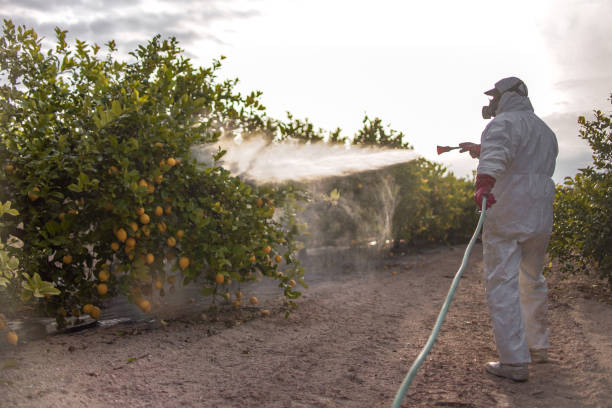 Best Mosquito Control Services  in Sour Lake, TX