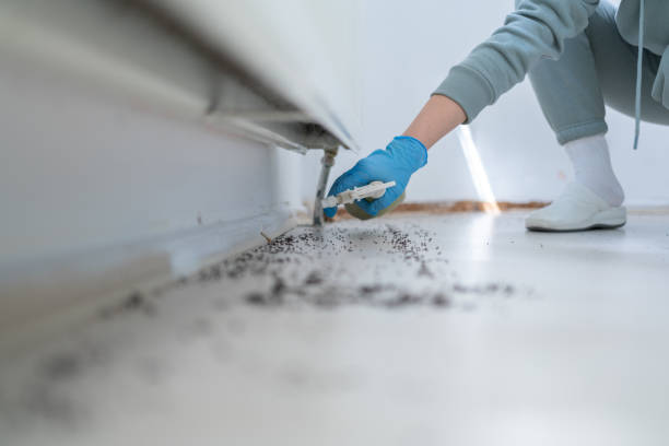 Best Pest Prevention Services  in Sour Lake, TX